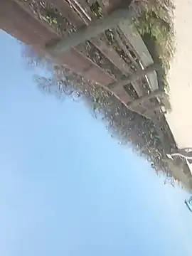 sarahkat86: онлайн-секс-чат