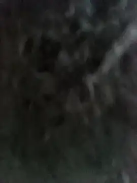 22orlando's Webcam Show