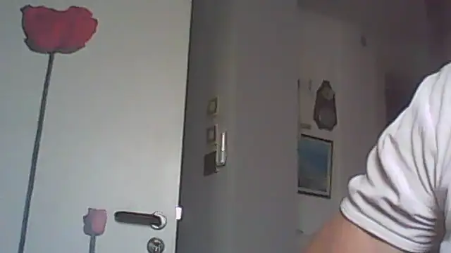 โชว์เว็บแคมของ hansmart60