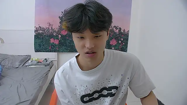 Show Webcam de icecream-002