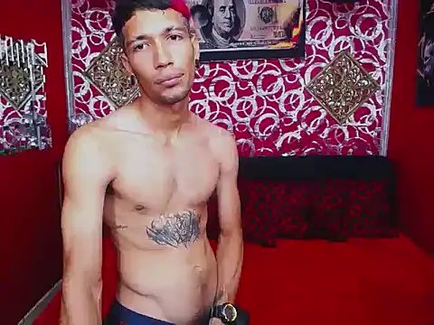 Show de webcam de AGRECIT