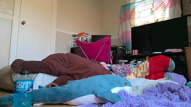 Show webcam de knottyn3bulara