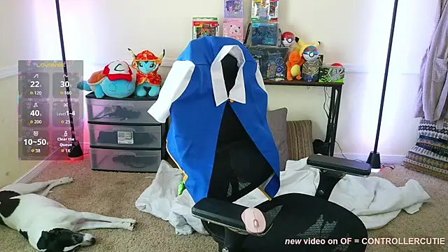 Controllercutie's Webcam Show
