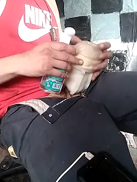 Wero4200 webkamerás műsora