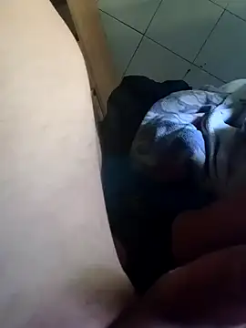 عرض كام ger211