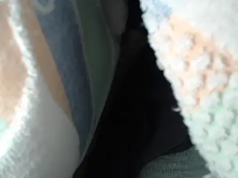 IMAGatMARKのウェブカメラショー