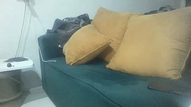 Show Webcam de Winterslender