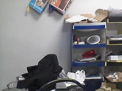 Show Webcam de kikifidm