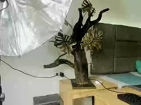 Вебкам-шоу Edy_coltt