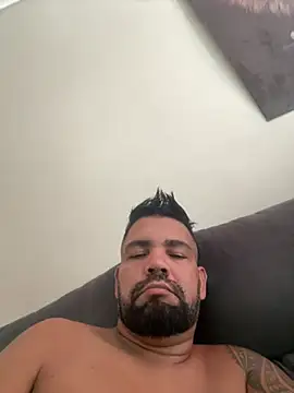 Show de webcam de adgato