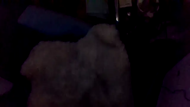 shag369 Live XXX-chat