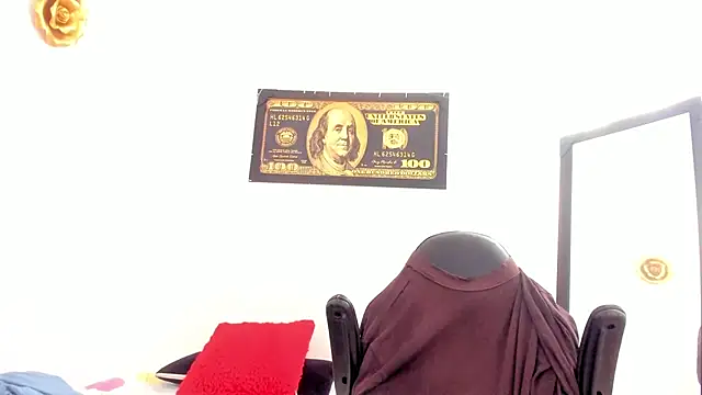 Show webcam de horus_gil