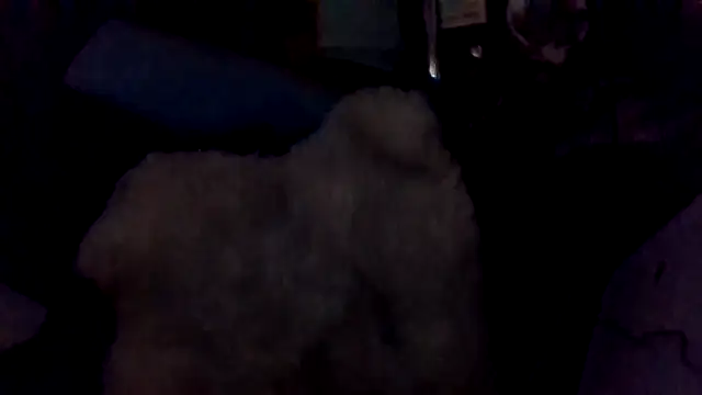 Chat XXX en directo de shag369