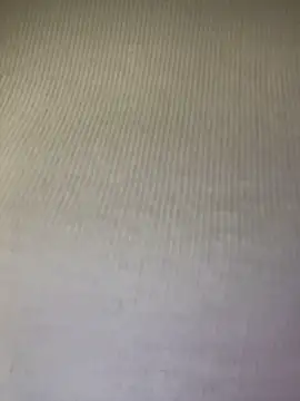 Show de CityLynx na webcam