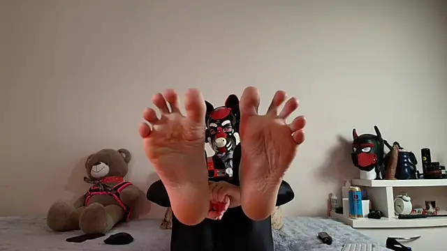 Show modela K9_GoodBoy na web-kameri