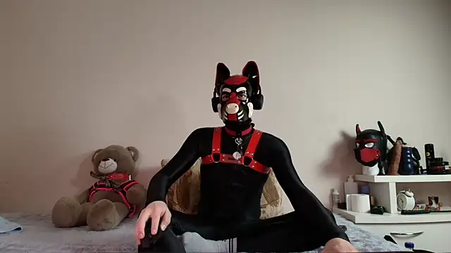 K9_GoodBoy Show Webcam