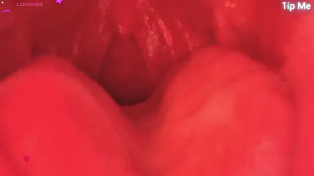 donghuangtaiyi--- 网络视讯表演