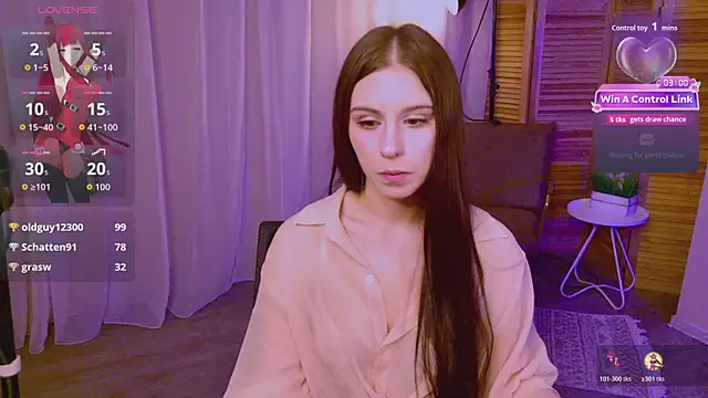 museofmindn Webbikameraesitys