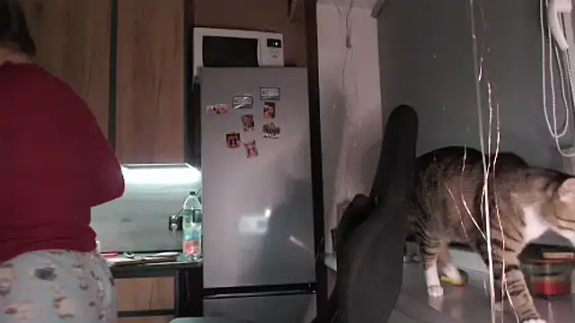 delightful_sofi's Live XXX Chat