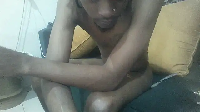 Winterslenderのウェブカメラショー