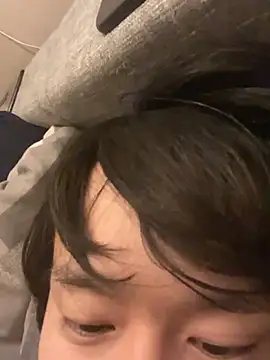 IroManagerのウェブカメラショー