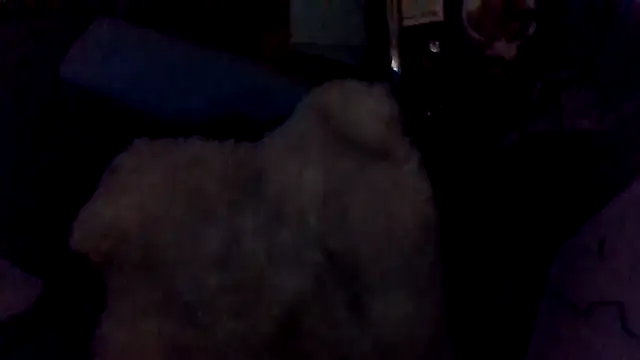 Онлайн чат XXX shag369