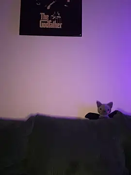 sami_zone Live XXX-Chat