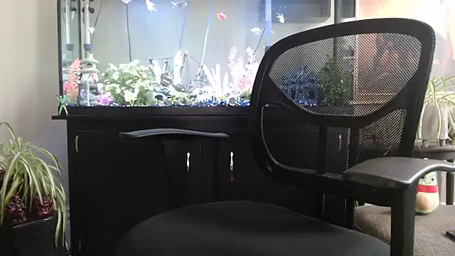 EspanolVaton Webbikameraesitys