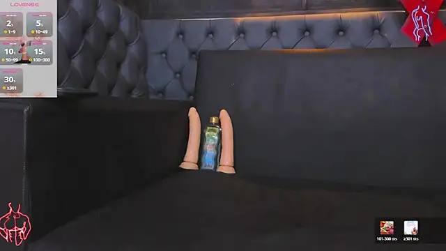 Axxel_26n Webbikameraesitys