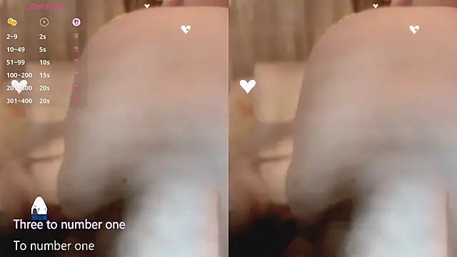 Vaidurya-Yolo Webcam show