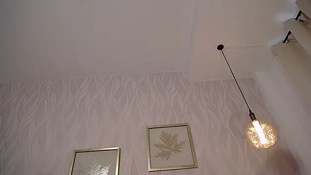 HarryFossterのウェブカメラショー