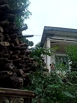 July-Asian 在線直播表演