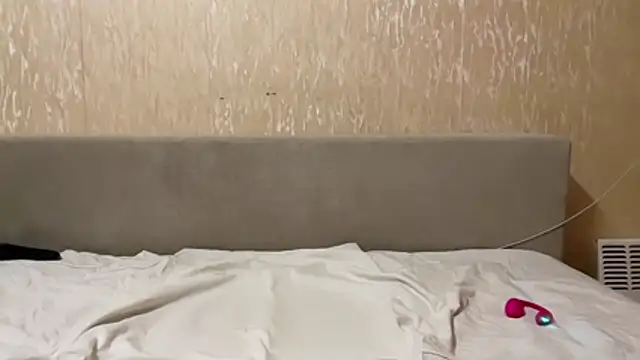 40000usd 网络视 讯表演