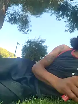 โชว์เว็บแคมของ LargeDominoes