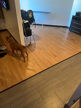 Babii_Nova's Webcam Show