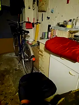 PassiveStute25: διαδικτυακό σόου στην κάμερα