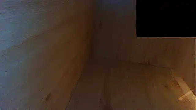 โชว์เว็บแคมของ Siliconefucker