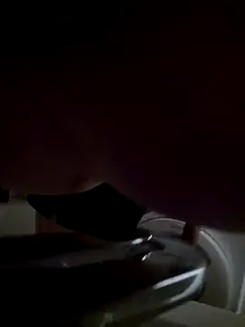 Petreliseev webkamerás műsora