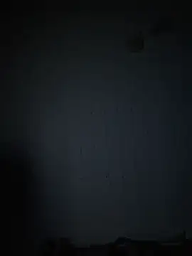 Show de afayecd na webcam