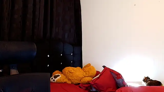 jimmy_class 网络视讯表演