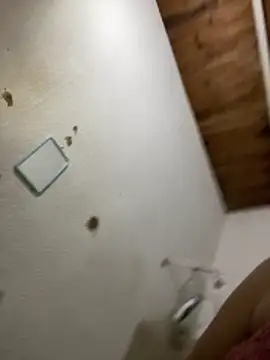 Lindibran's Webcam Show