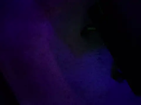 Czat XXX na żywo – chronic_vibez