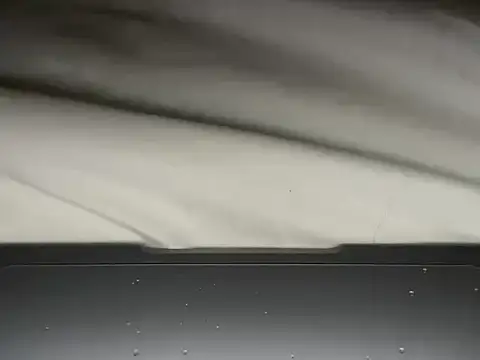 Show webcam de zwyklioni