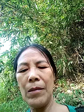 toyo_668 网络视讯表演