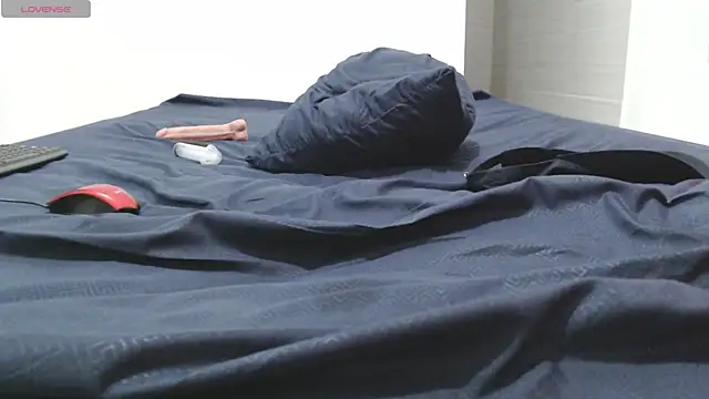 Lancelot_19 Show in webcam