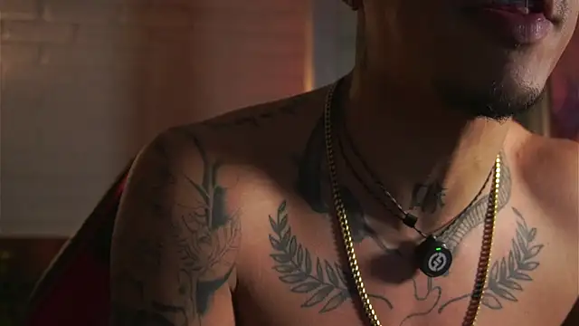 Chat XXX Live AlphaMasterXxx