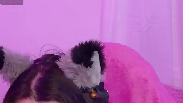 Živý XXX chat Sachi_Meow