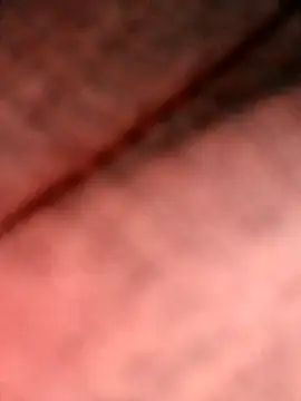 Show Webcam de NiceNativeOne2026