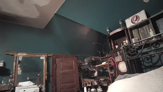 charactrzero 라이브 XXX 채팅