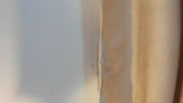 FreyaCameron Live XXX-chat